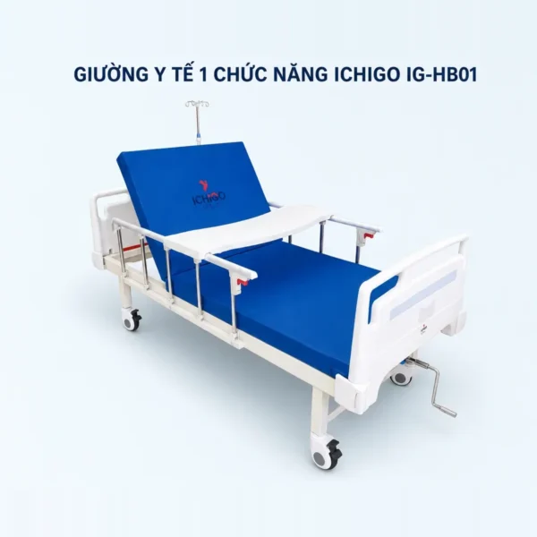 Giường y tế 1 tay quay ICHIGO IG-HB01