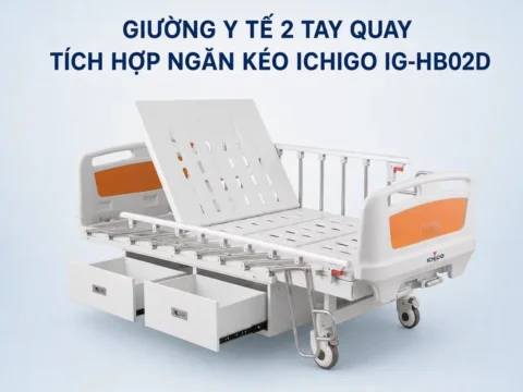 Mua giường bệnh tại TP.HCM: giao, lắp đặt và bảo hành tận nơi