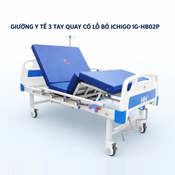 Giường bệnh 3 tay quay có bô vệ sinh ICHIGO IG-HB02P