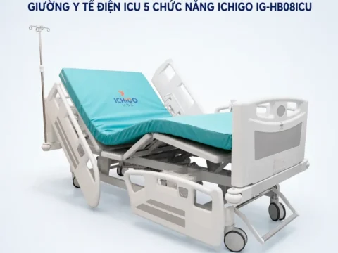 Giường bệnh điện 5 chức năng: gồm những gì, khi nào cần